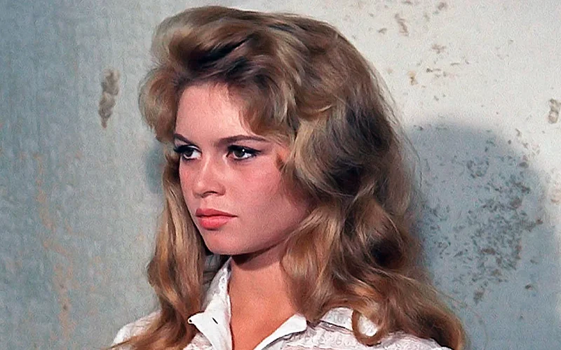 Sự nghiệp của Brigitte Bardot