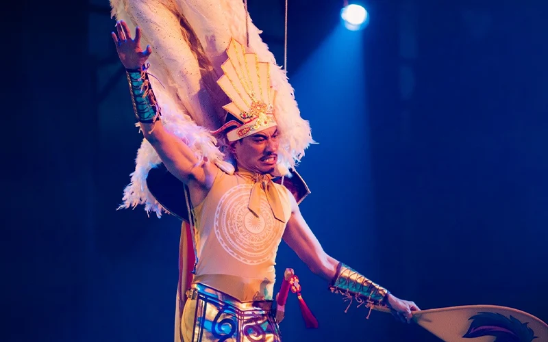 Khó Khăn Của Nghệ Sĩ Xiếc