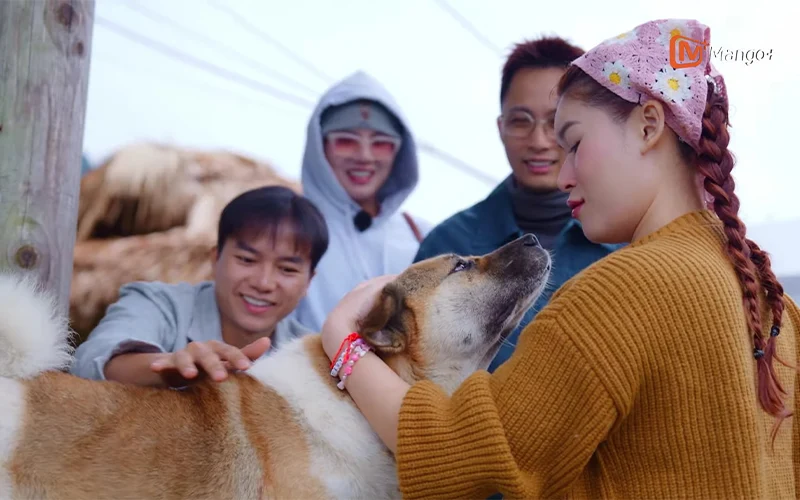 Sự Đón Chào Ấm Áp