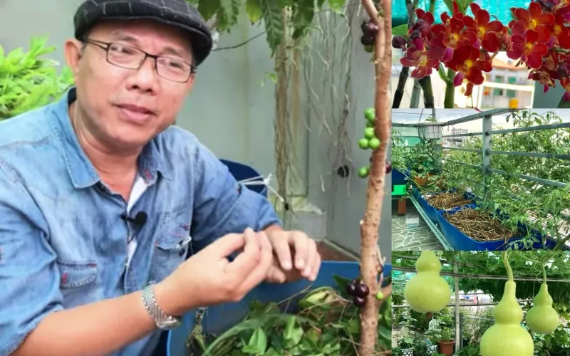 Phương pháp trồng hữu cơ