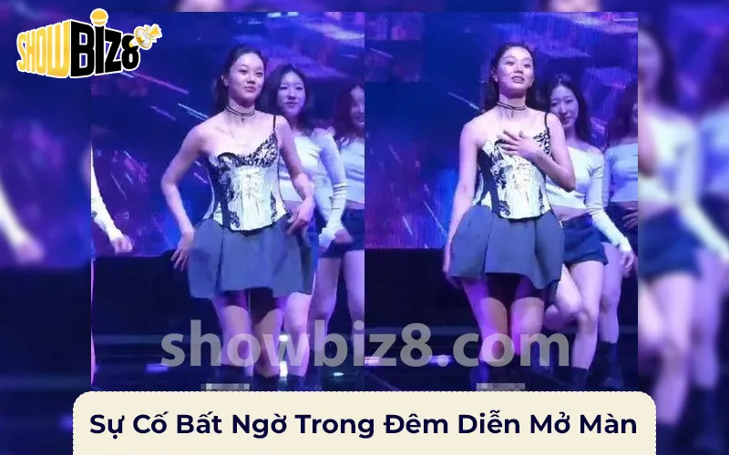 Sự cố trong đêm diễn của Hyeri